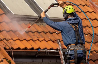 Démoussage et hydrofuge de toiture à Dordives